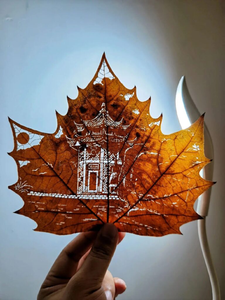 About Us - leaf
