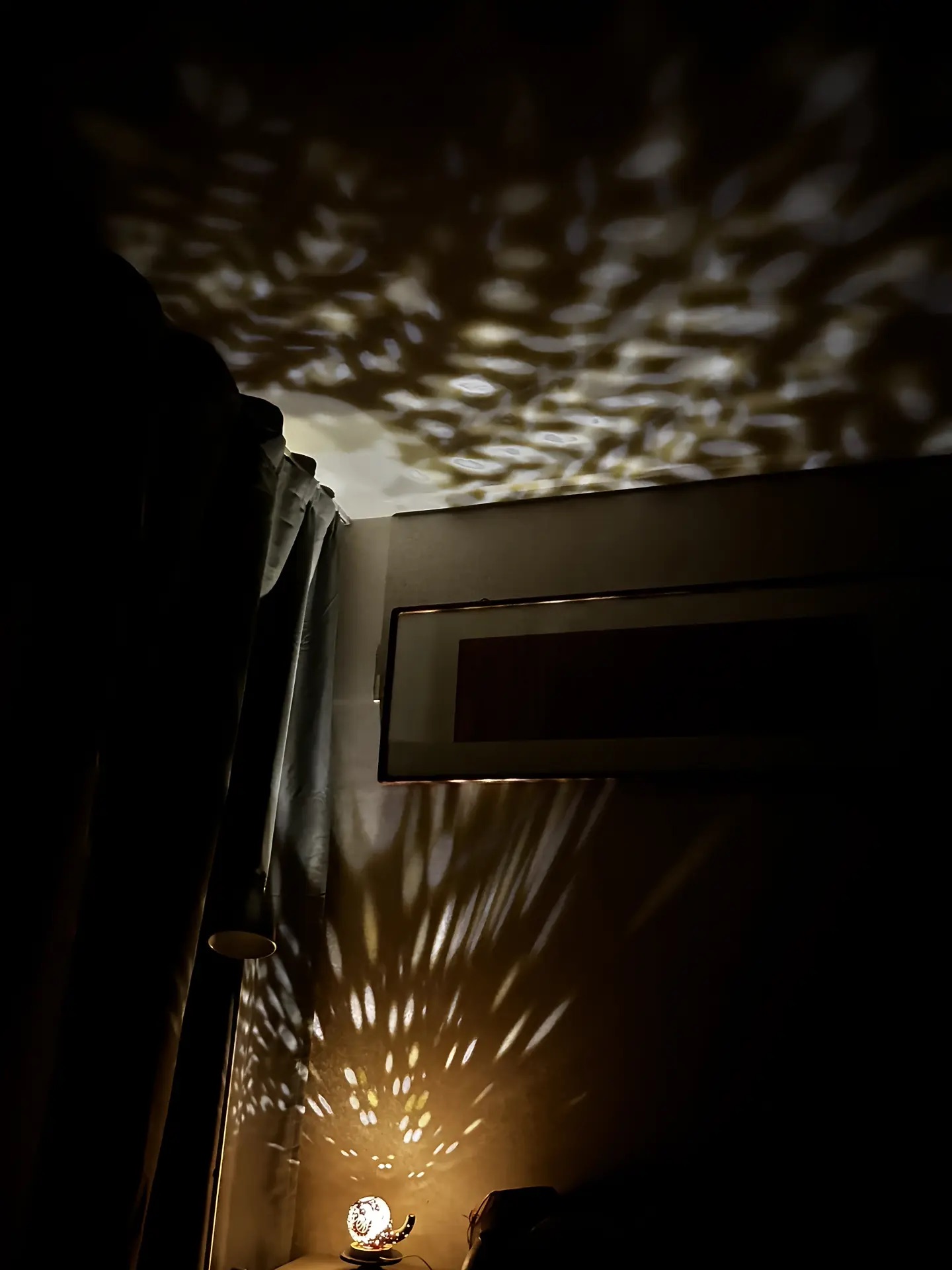 Chinese Zodiac Rooster・Handcrafted Hollowed Gourd Art Lamp - Image 6